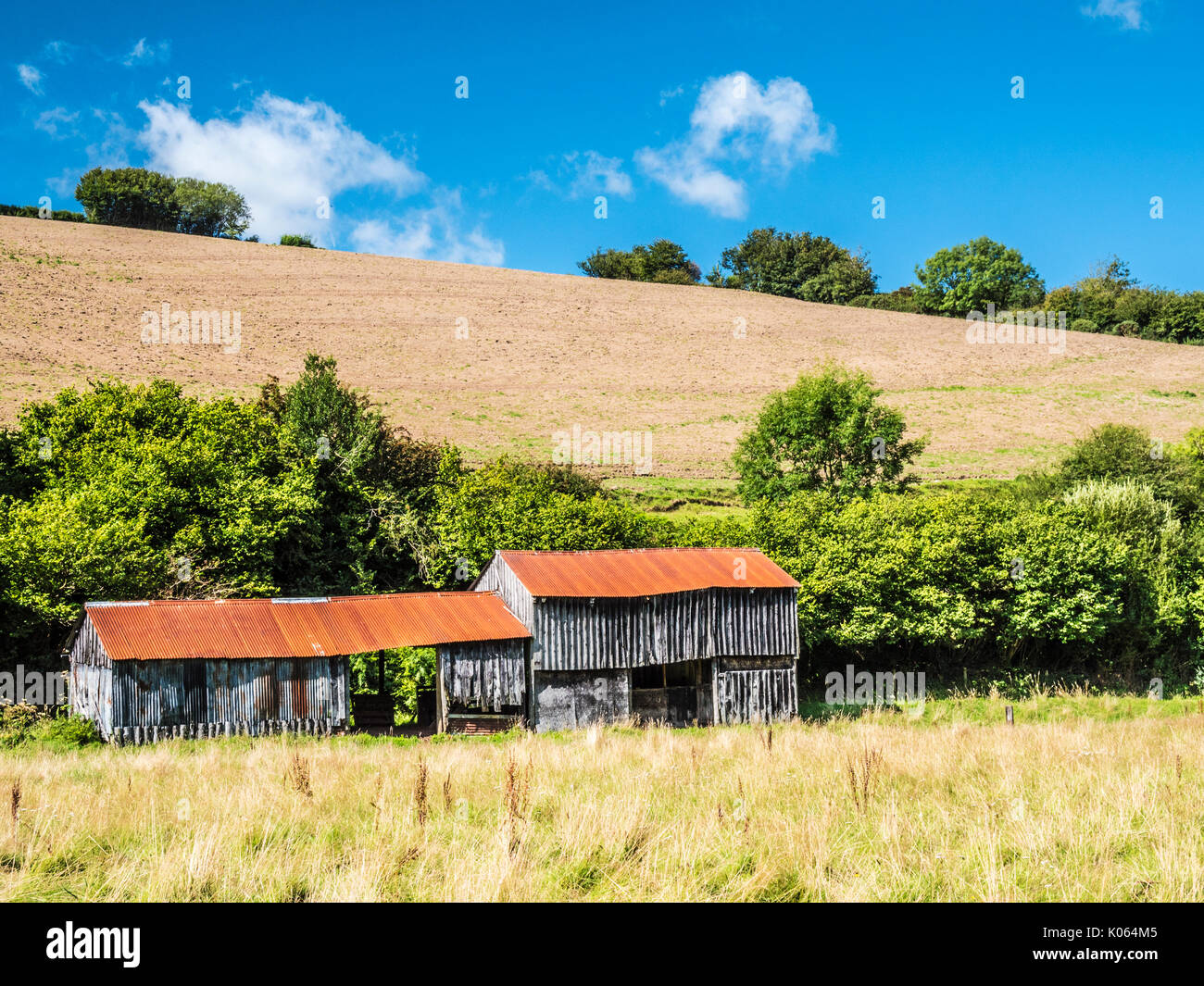 Un vecchio ferro corrugato fienile in un campo nel Somerset. Foto Stock