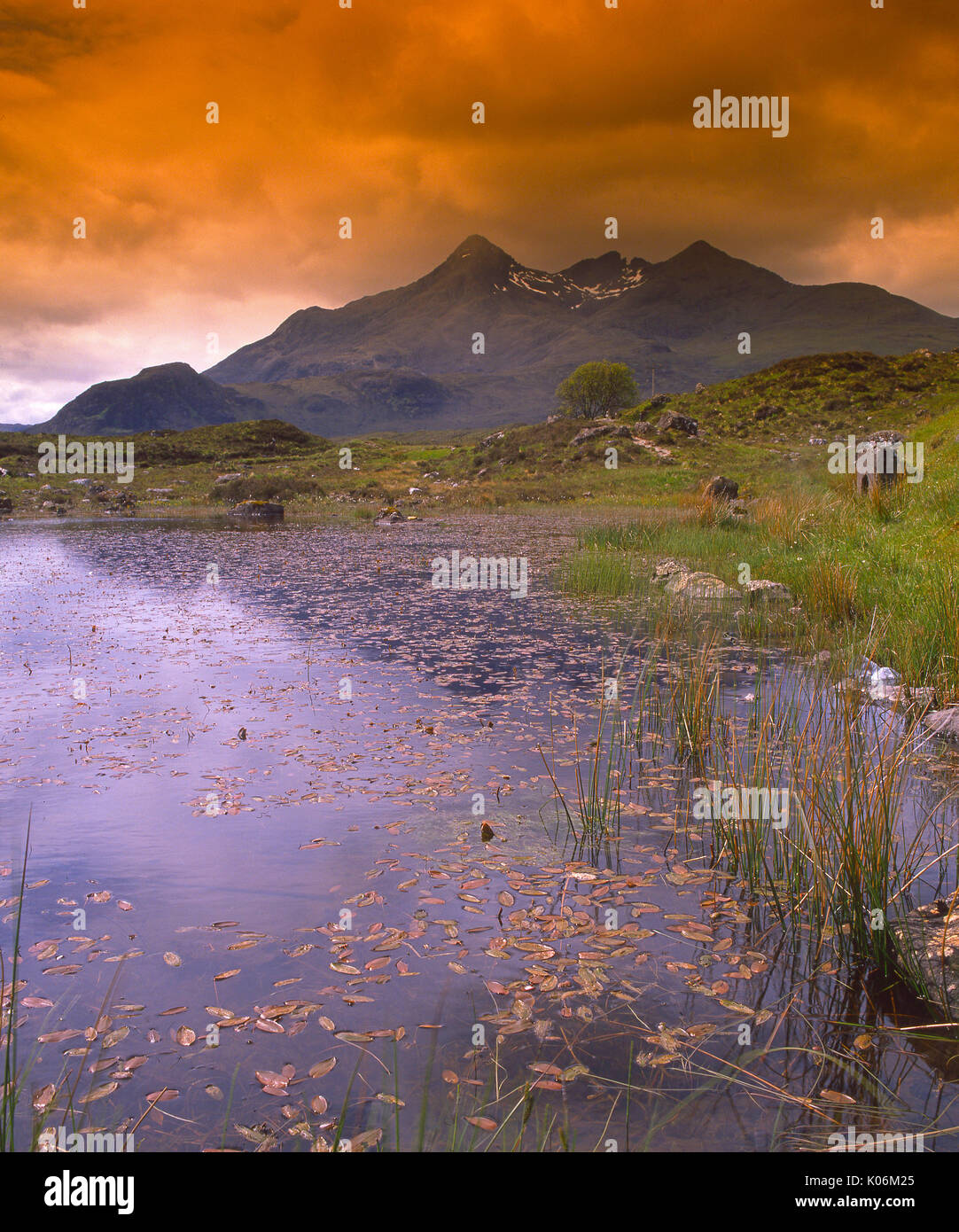 Verso Scurr nan Gillean da Glen Sligachan, Isola di Skye Foto Stock