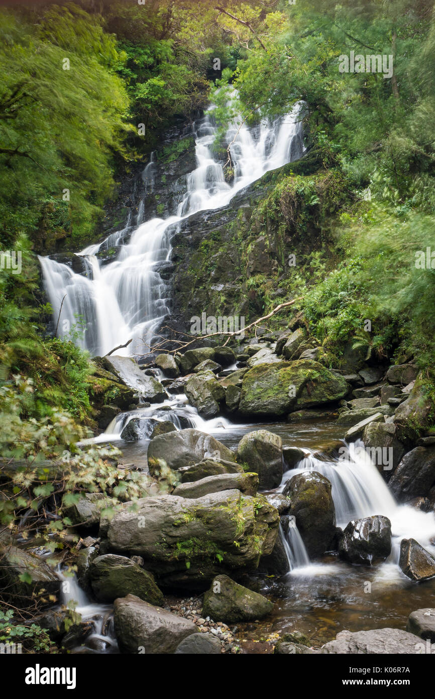 Cascata Torc, Killarney, Anello di Kerry Foto Stock
