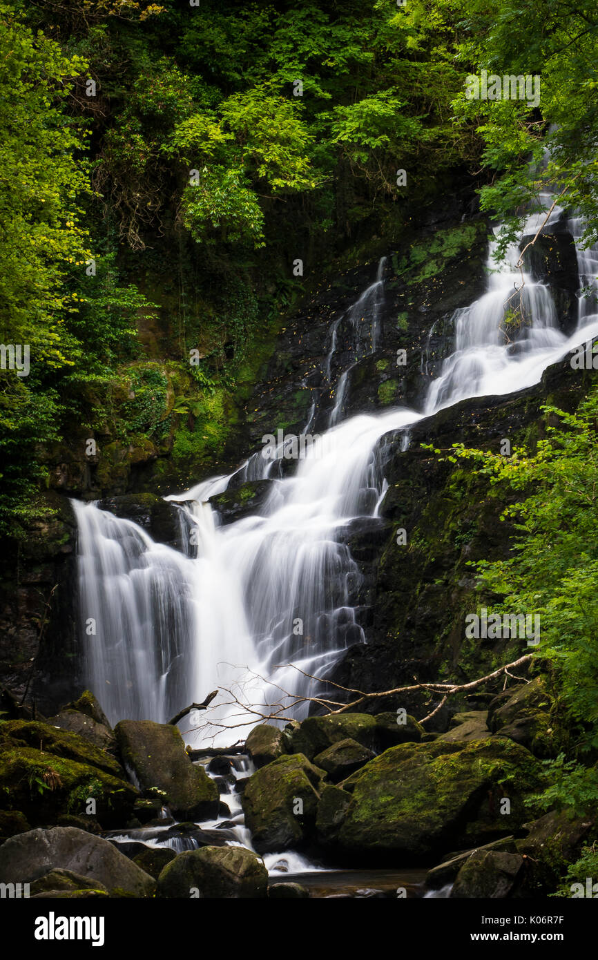 Cascata Torc, Killarney, Anello di Kerry Foto Stock