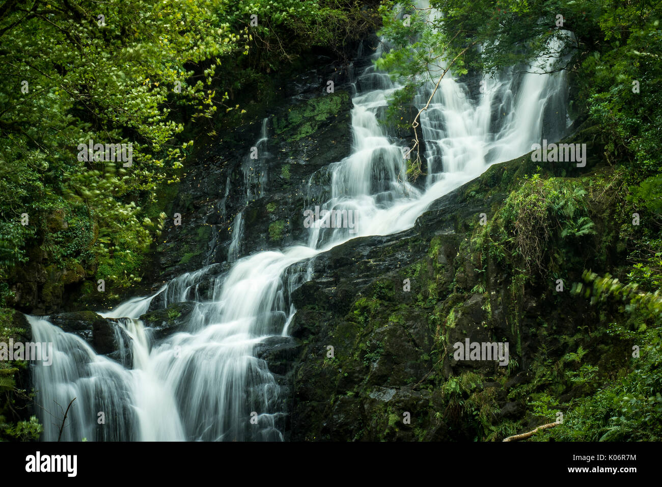 Cascata Torc, Killarney, Anello di Kerry Foto Stock