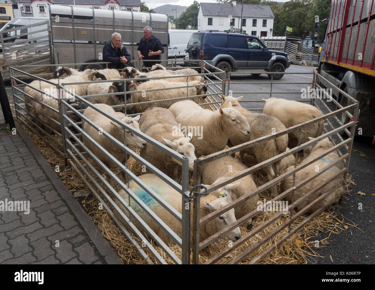 Strada del mercato di ovini, Kenmare, nella contea di Kerry, Irlanda Foto Stock