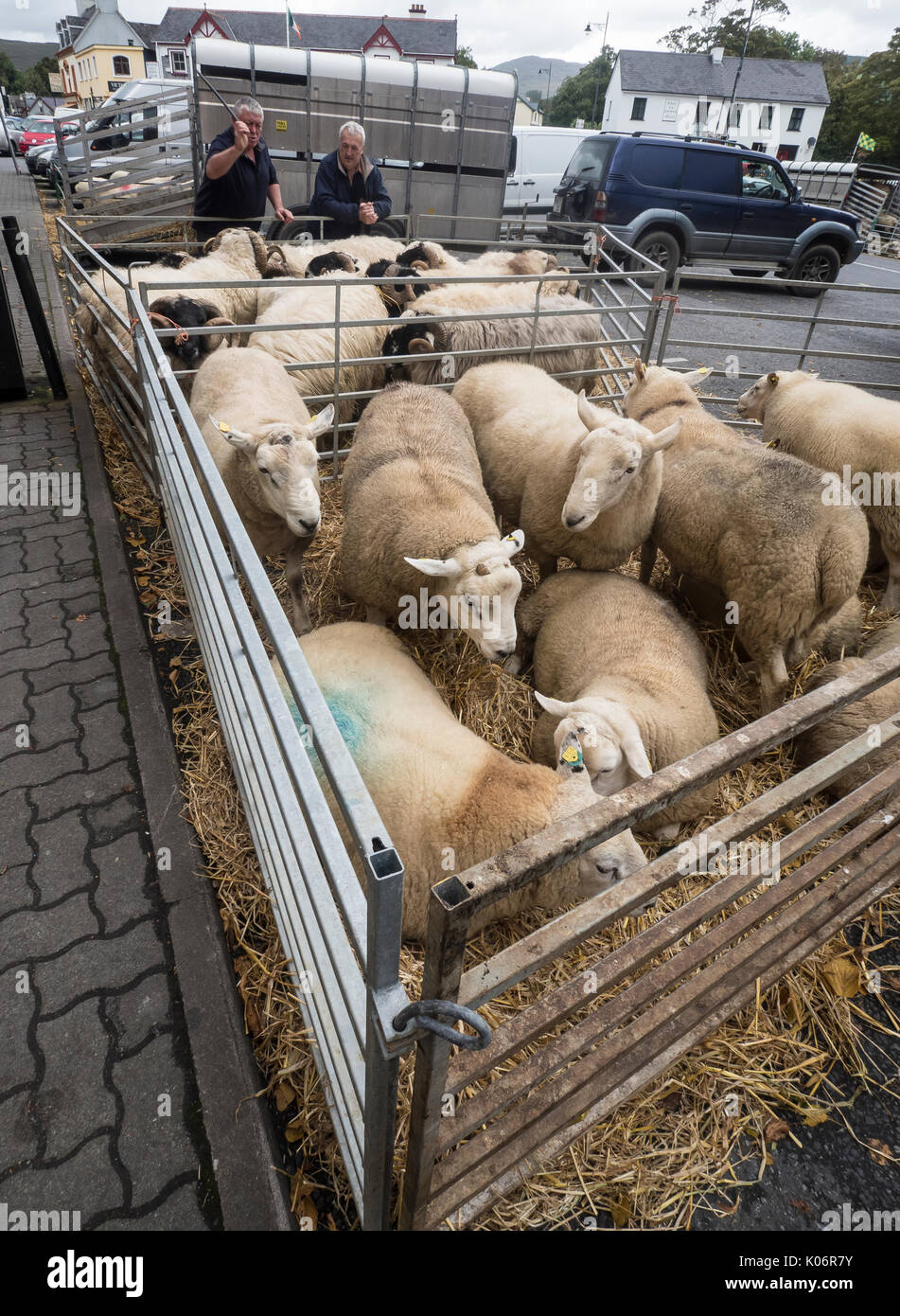 Strada del mercato di ovini, Kenmare, nella contea di Kerry, Irlanda Foto Stock
