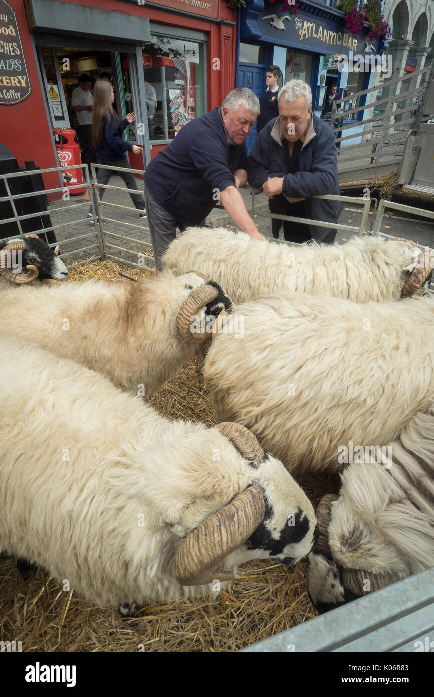 Strada del mercato di ovini, Kenmare, nella contea di Kerry, Irlanda Foto Stock