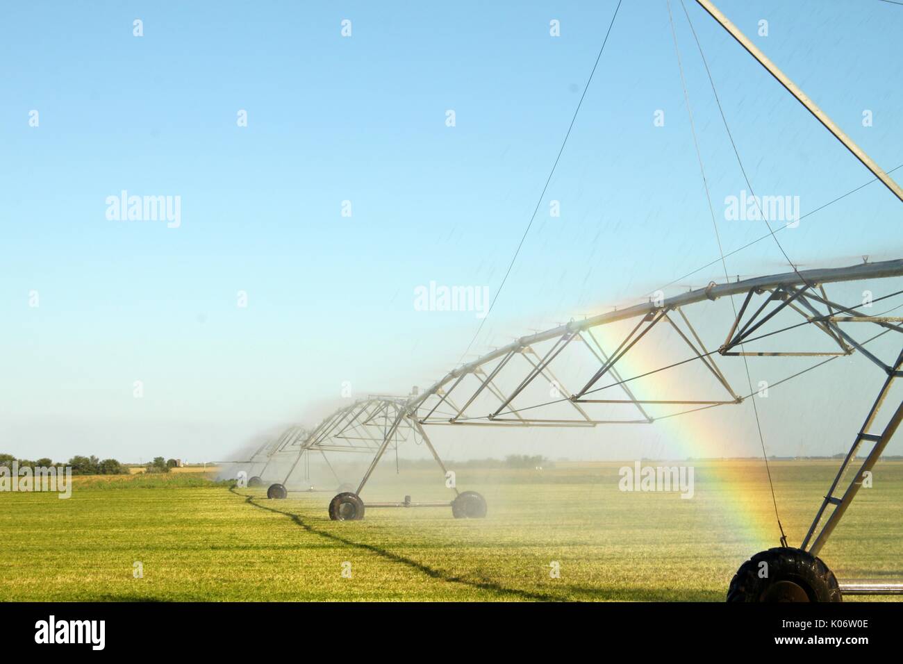 Irrigazione sistema di spruzzatura Foto Stock