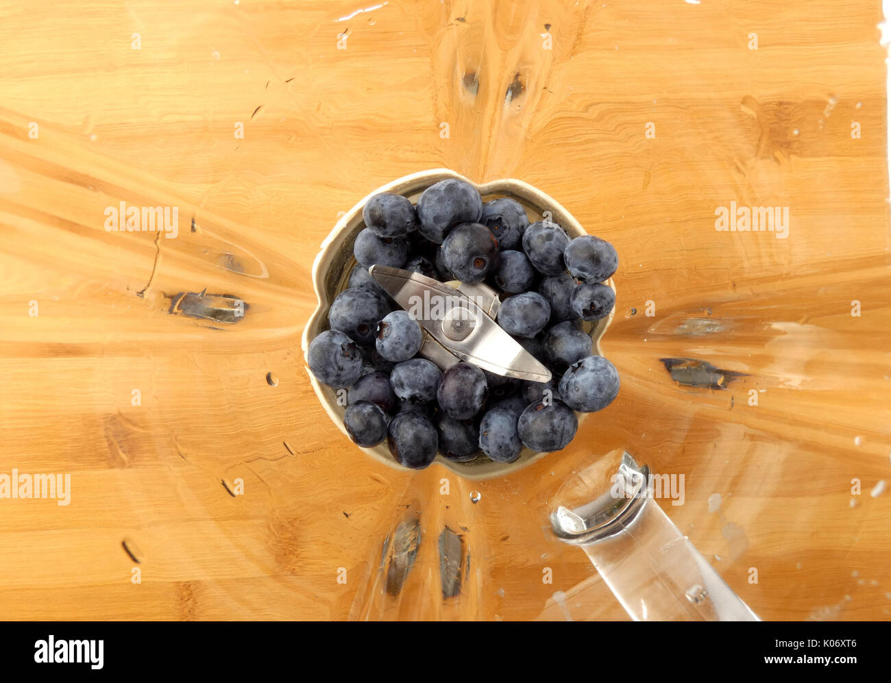 I mirtilli in Blender spremiagrumi Foto Stock