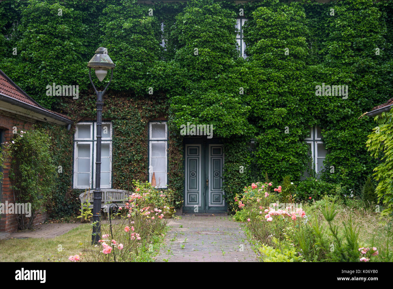 Vigne e Liane sono prendendo possesso di questo incolto la casa e il giardino in Eutin, Schleswig-Holstein, Germania Foto Stock