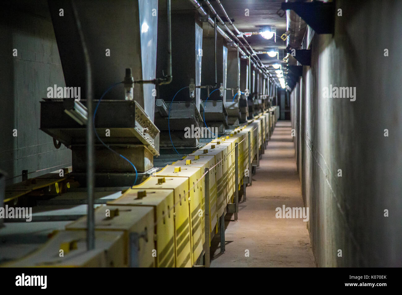 Lo zucchero industriale trasportatore della linea di produzione di canna da zucchero di fabbrica Foto Stock