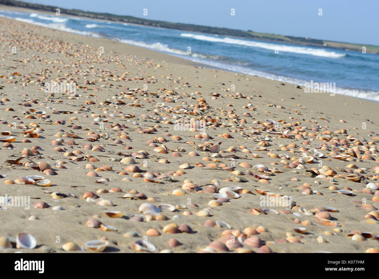 Vista Sulla Spiaggia Di Is Arenas Sardegna Italia Foto