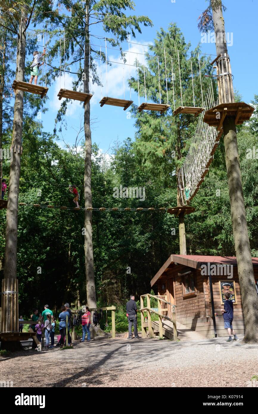 Go Ape Junior Treetops Lodge Beechenhurst Foresta di Dean Gloustershire Galles Foto Stock