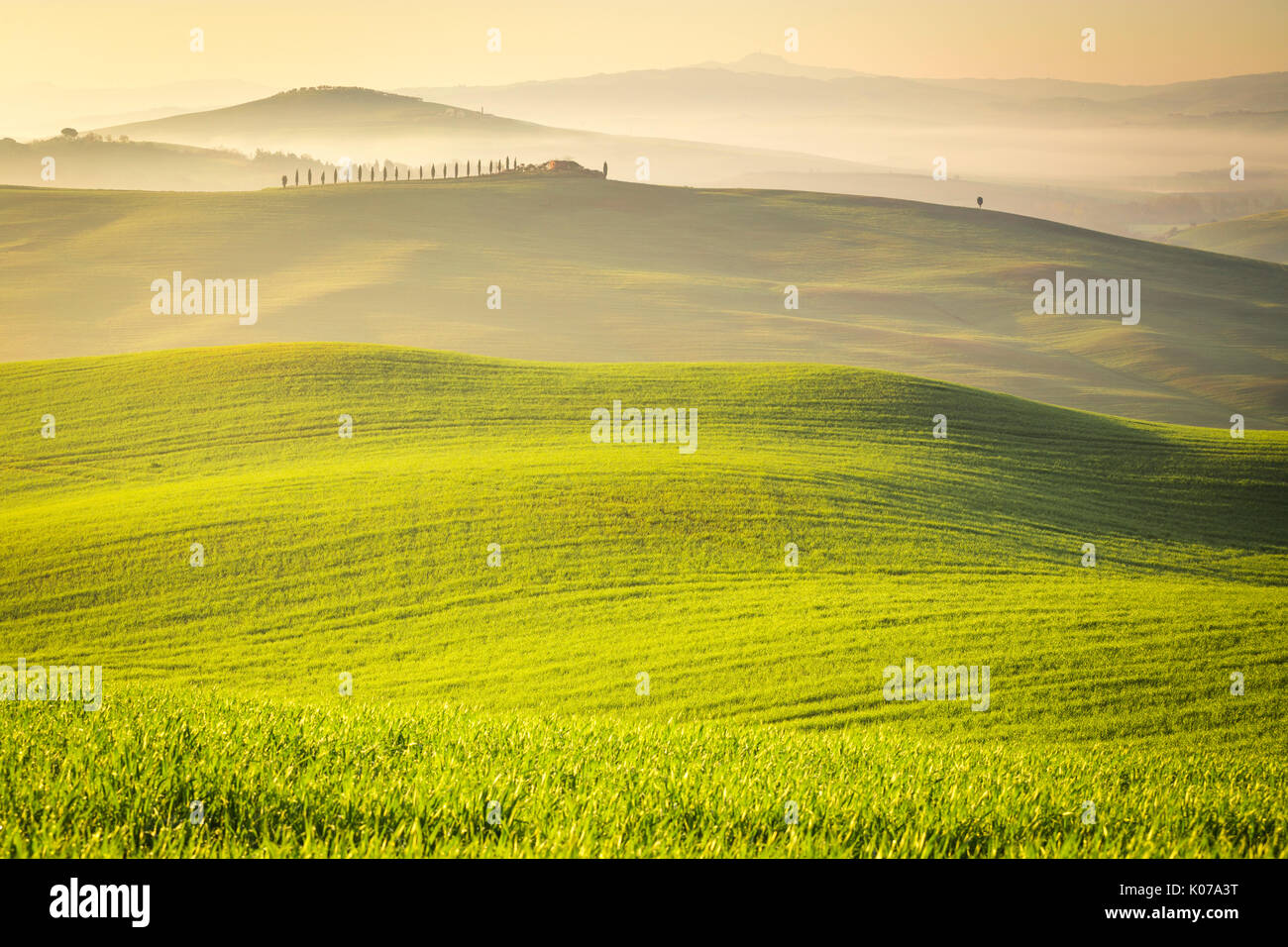 San Quirico d'Orcia campagna, Val d'Orcia, Toscana, Italia Foto Stock