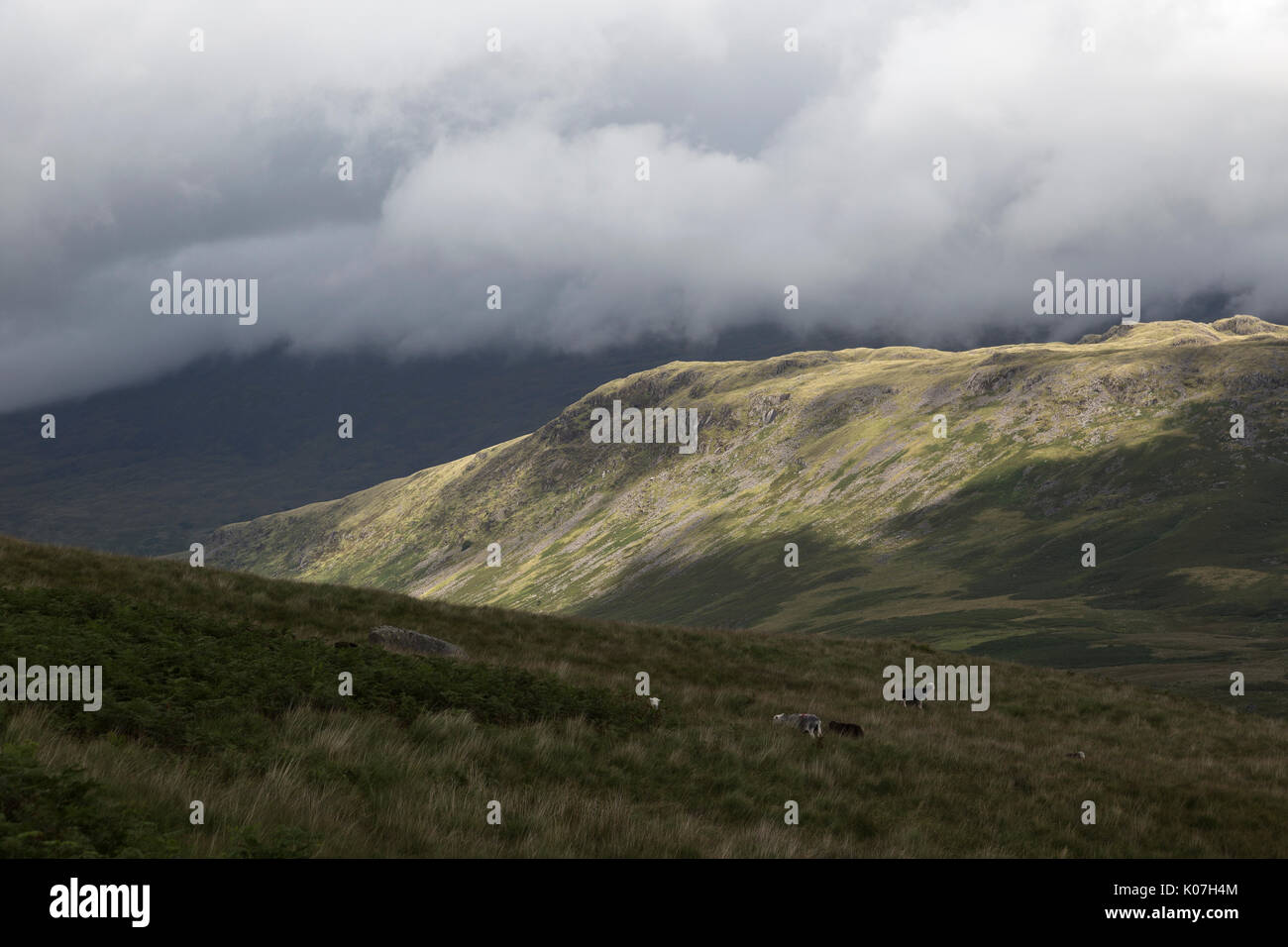 Un patch di luce solare che rileva il bordo del grande come, visto da colline sopra il Boot (Eskdale), con Sca è sceso al di là, oscurata da nuvole e ombre Foto Stock