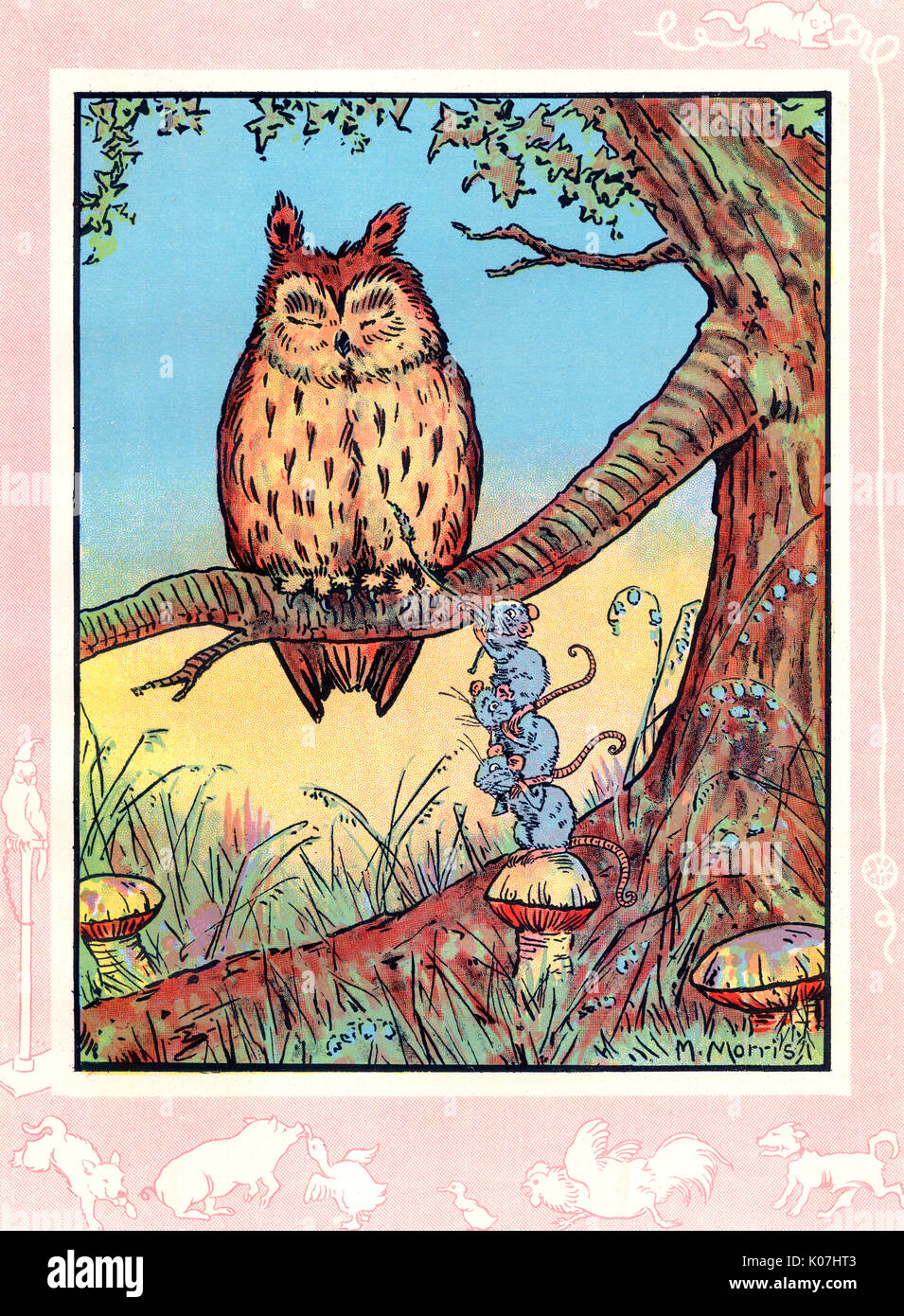 Gufo sonnolento solleticato dai topi Foto Stock