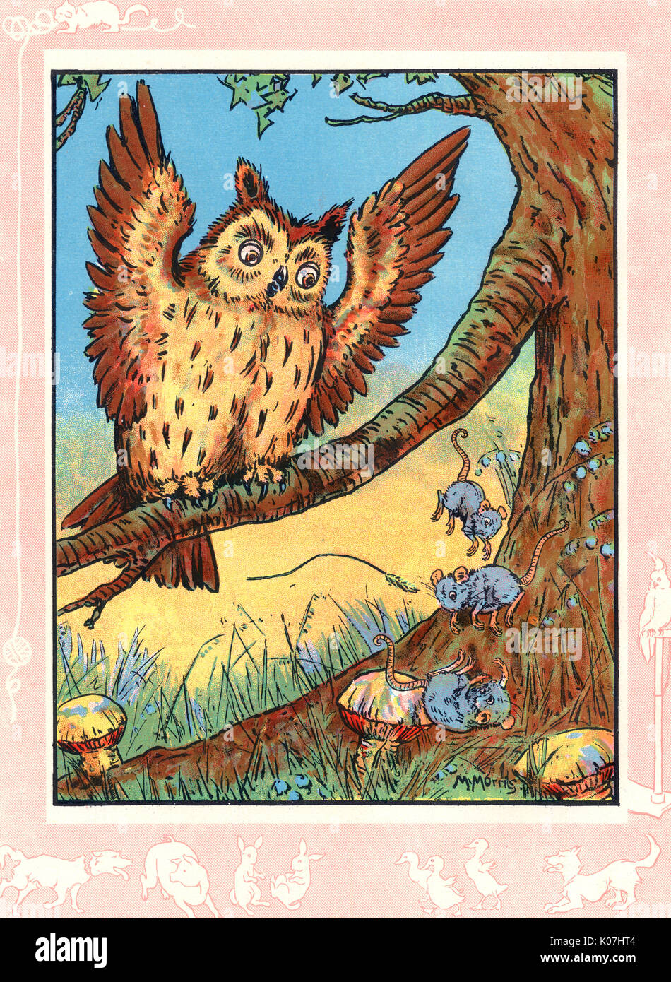 Il gufo sonnolento si sveglia Foto Stock