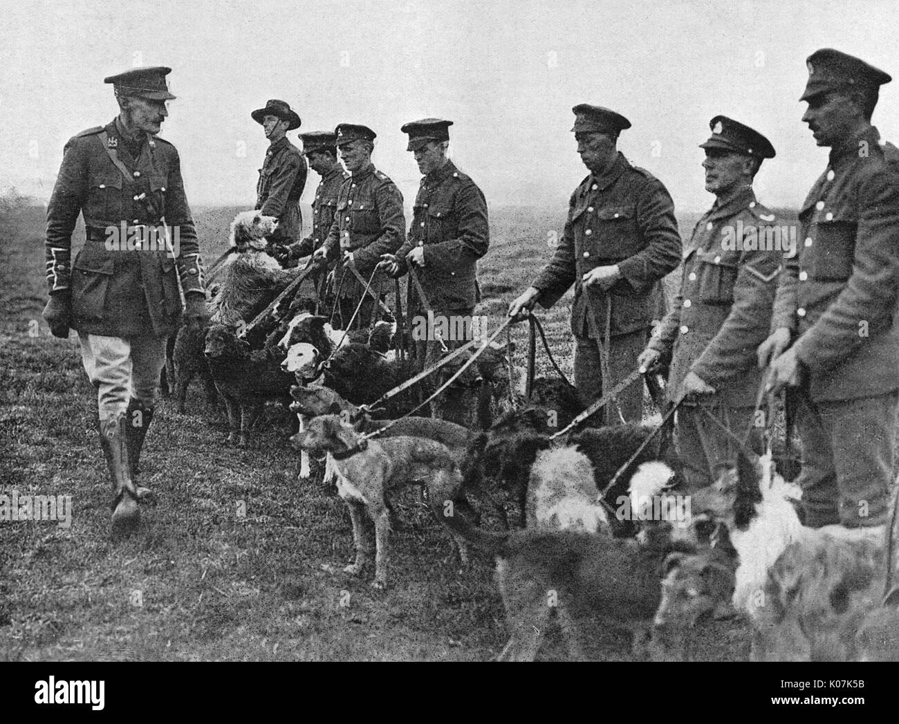 Major Richardson e i suoi cani messaggeri Foto Stock