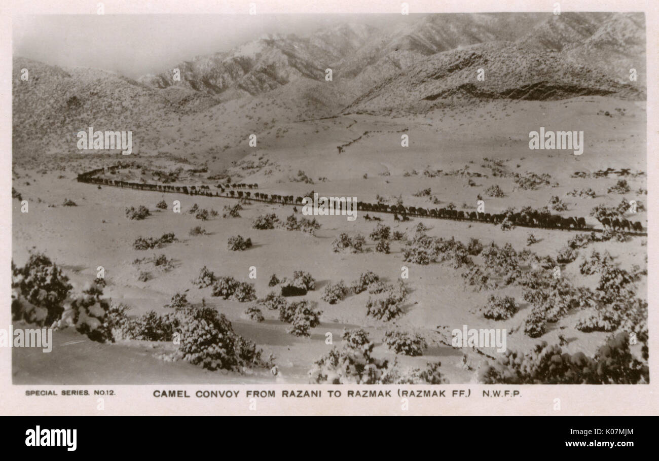 NWFP - Un convoglio di cammelli (treno) da Razani a Razmak Foto Stock