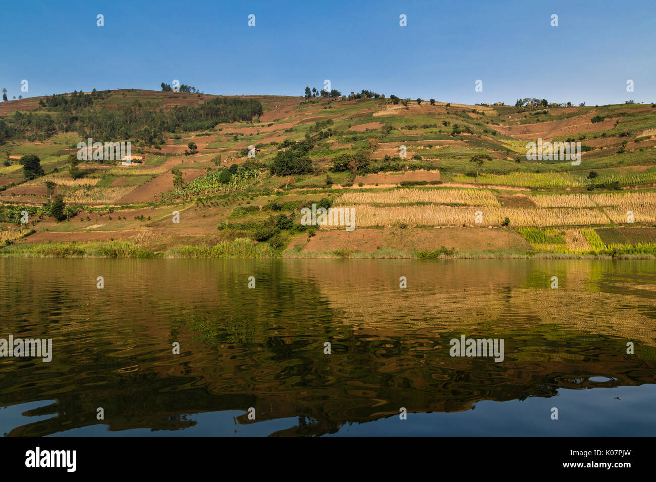 Colline riflettendo sull'acqua, il lago Bunyonyi e, Uganda Foto Stock