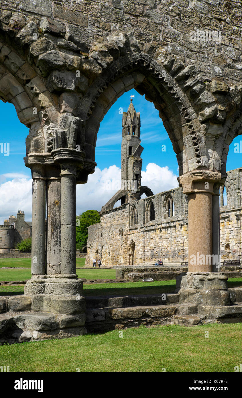 Rovine di St Andrews Cathedral, St Andrews Fife, Scozia, Regno Unito Foto Stock