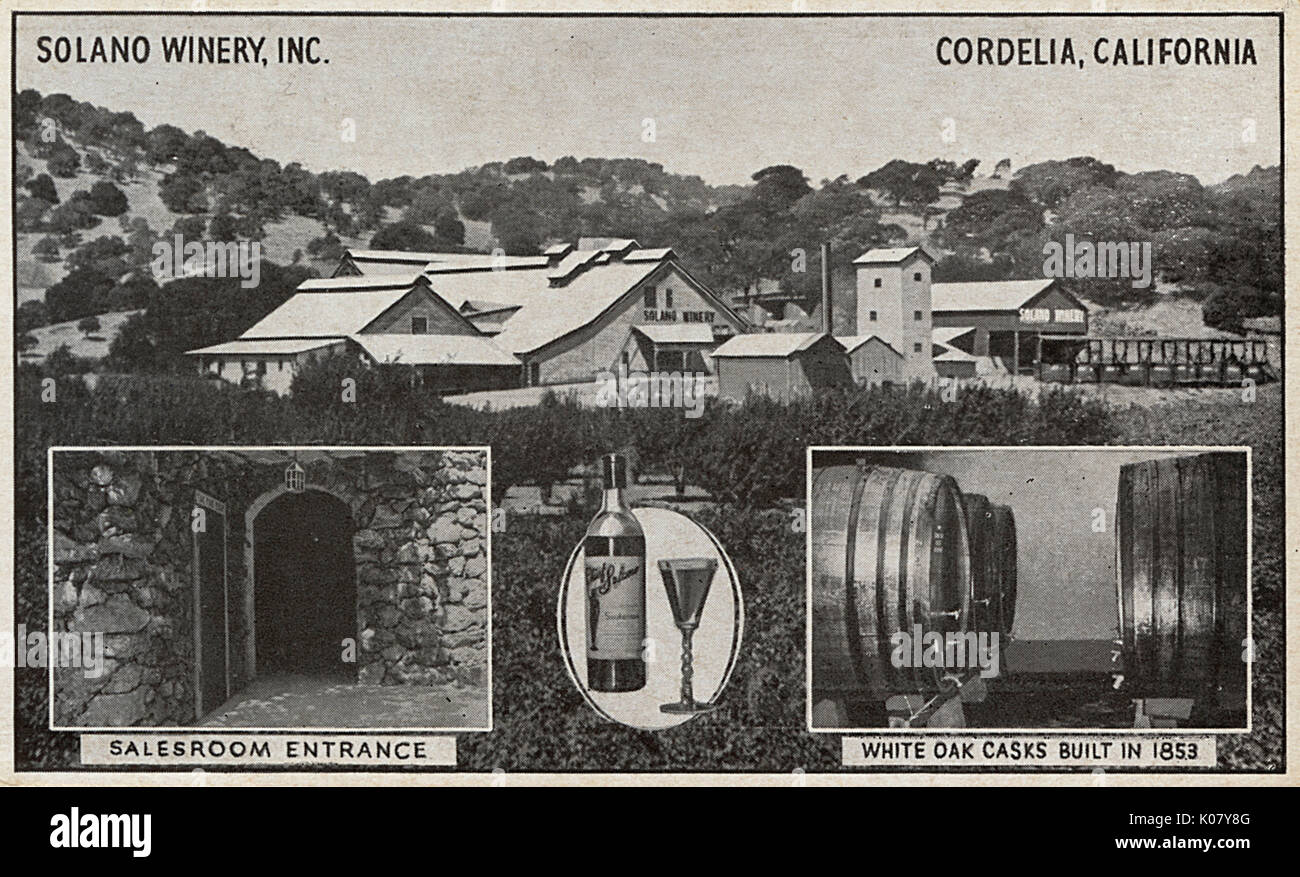 Solano Winery Inc, Cordelia, Solano County, California, Stati Uniti Foto Stock