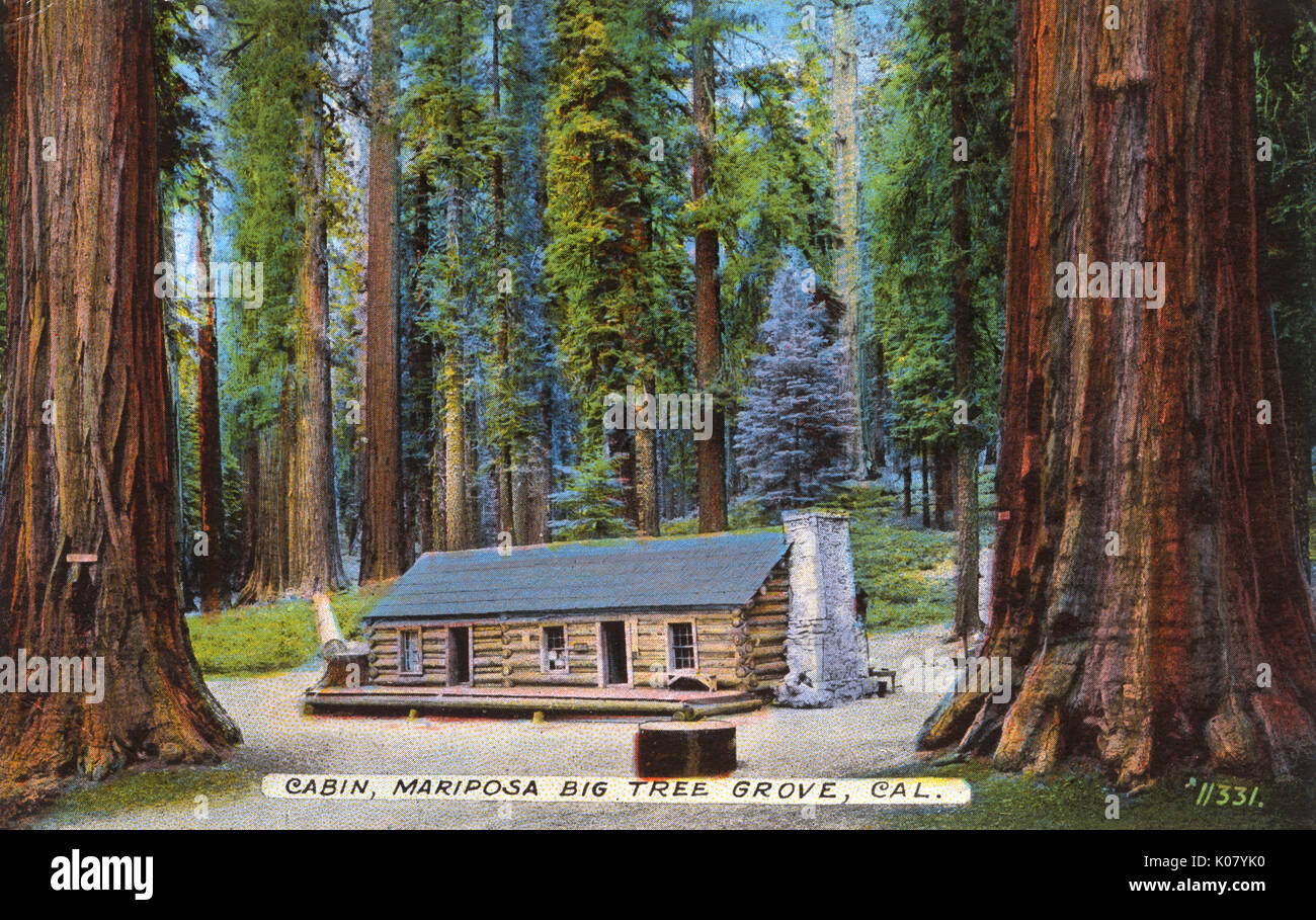 Cabin, Mariposa Big Tree Grove, California, Stati Uniti Foto Stock