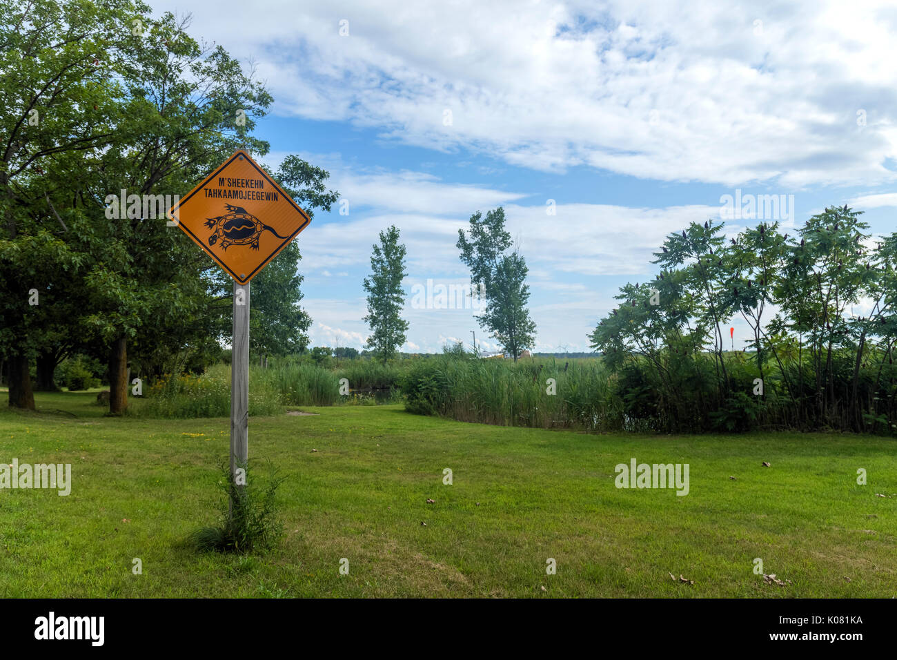 Turtle avvertire sign in una riserva indiana, Bollitore punto, Lago Huron, Ontario, Canada, America del Nord Foto Stock