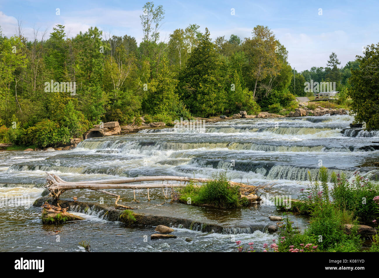 Sauble Falls, a sud della penisola di Bruce, in Ontario, Canada Foto Stock