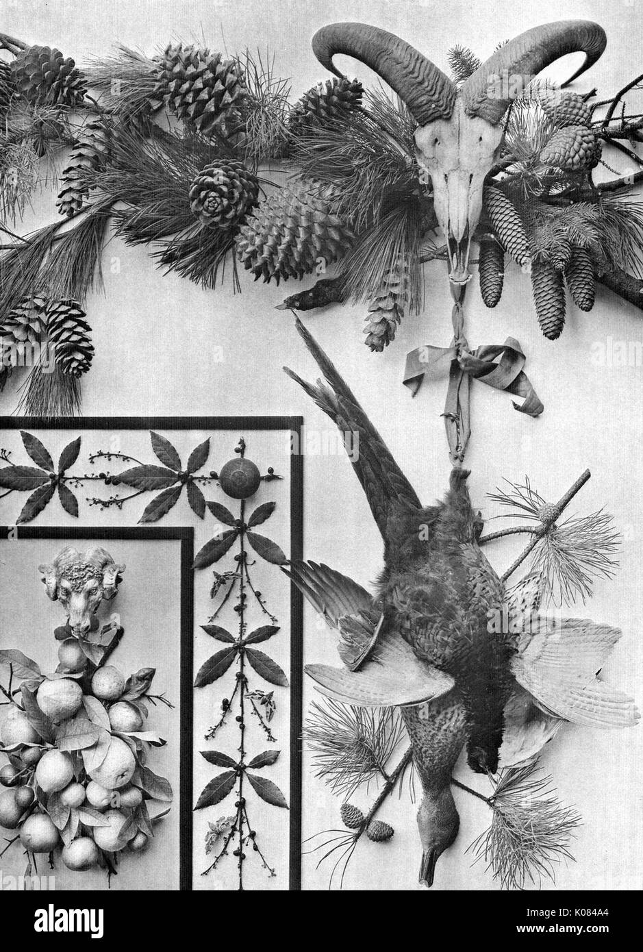Varietà di vegetazione da foglie di pino con pigne, piante con acini piccoli e pianta con mele, ram cranio e ornamento della ram, ram del cranio portante due uccelli, 1900. Foto Stock