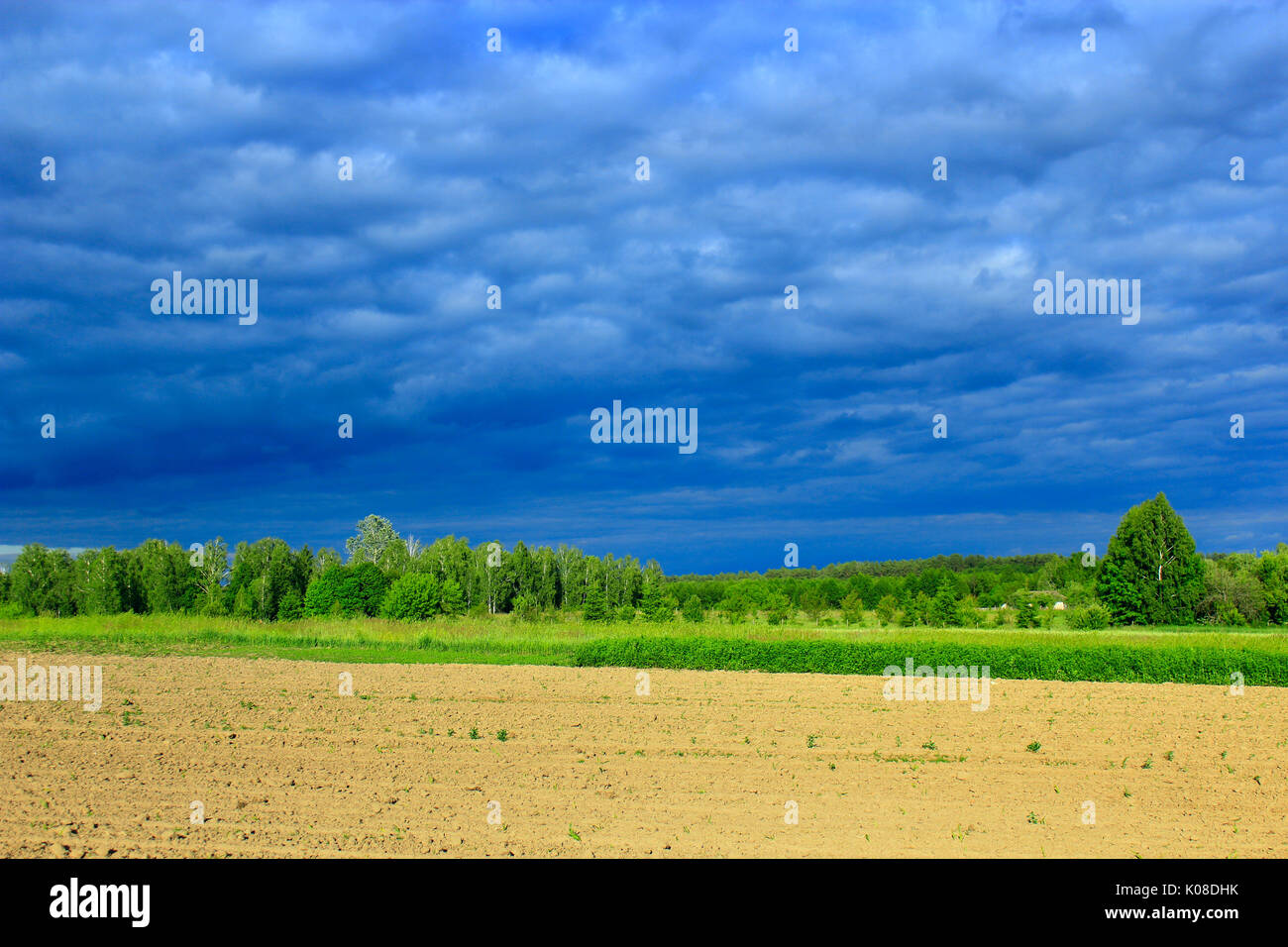 Paesaggio con thundercloud scure nuvole sotto la foresta e la terra Foto Stock