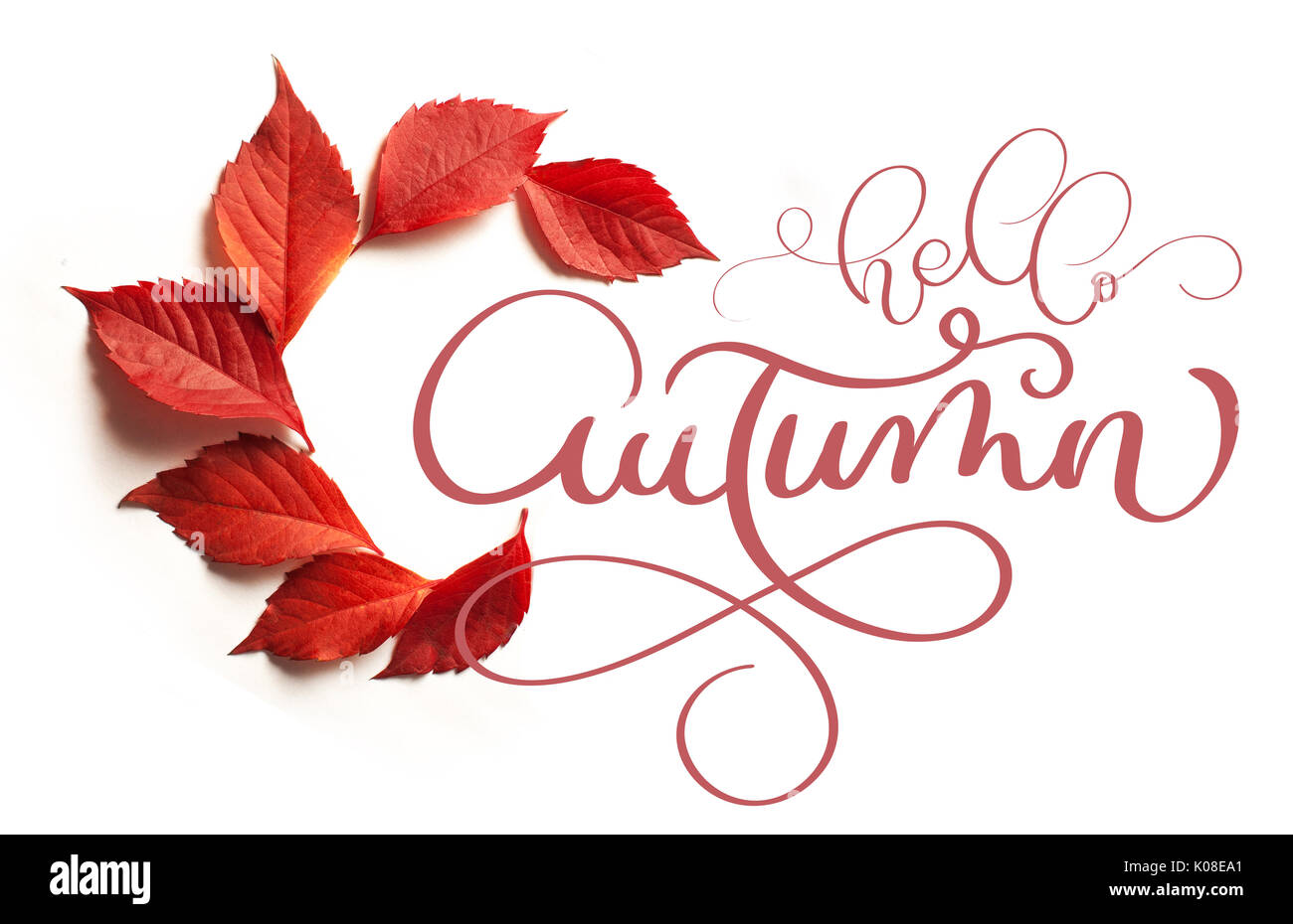 Calligraphy lettering testo ciao autunno. foglie rosse su sfondo bianco Foto Stock