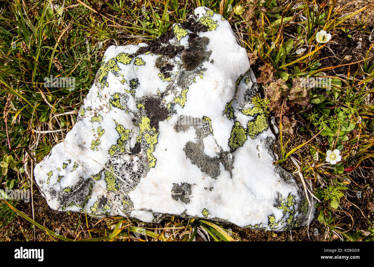 Un pezzo di roccia di quarzo sulle Alpi francesi Francia Foto Stock
