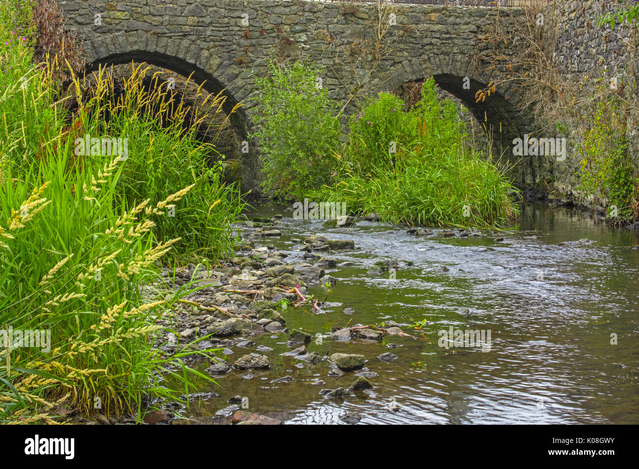 Il fiume che passa sotto il ponte della città, Foto Stock