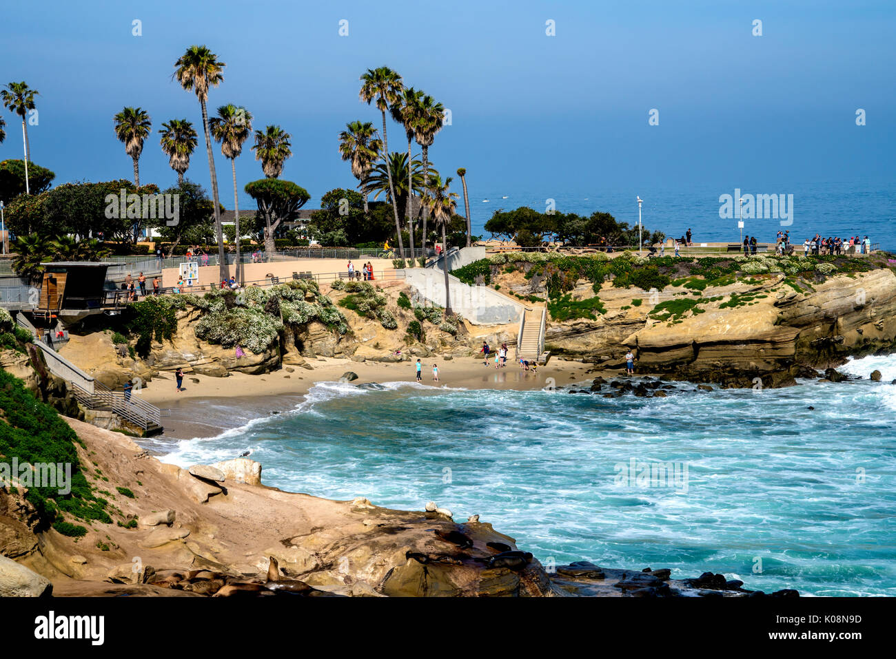Cove nuotare spiaggia di La Jolla california usa Foto Stock