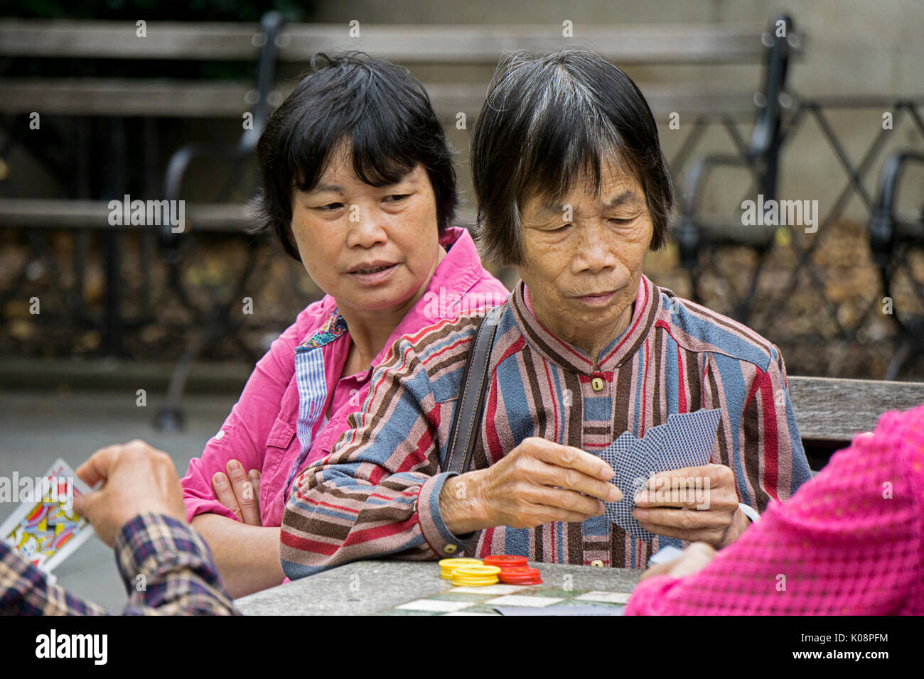 Un vecchio cinese donna americana giocando a carte in una donne solo gioco in Columbus Park a Chinatown, in New York City. Foto Stock