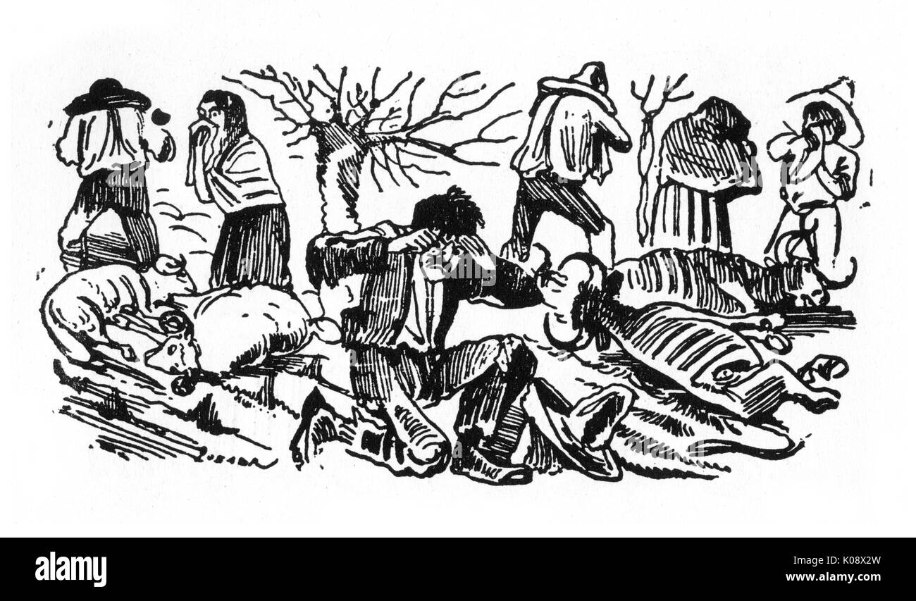 Posada, la peste, Messico Foto Stock