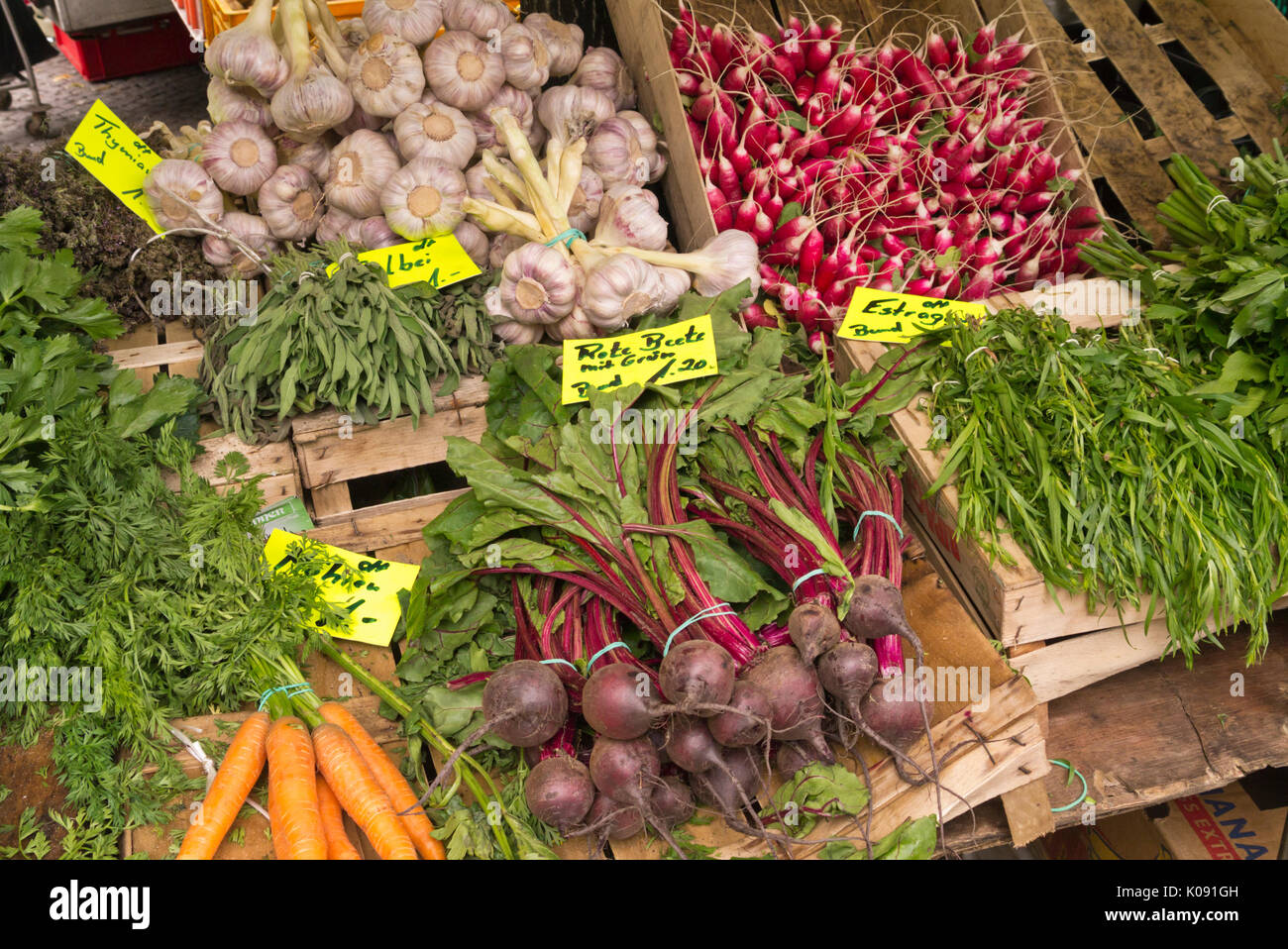 Aglio (Allium sativum), ravanelli da giardino (Raphanus sativus subsp. Sativus), barbabietole rosse (Beta vulgaris var. Condiativa) e dragoncello (Artemisia Foto Stock