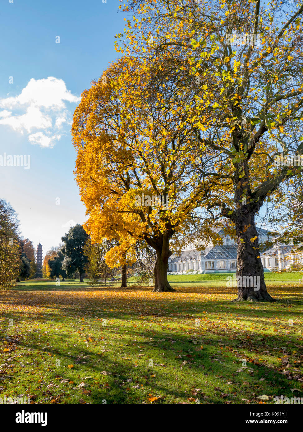 Europa, Regno Unito, Inghilterra, Londra, i giardini di Kew House temperate pagoda attraverso gli alberi autunnali Foto Stock