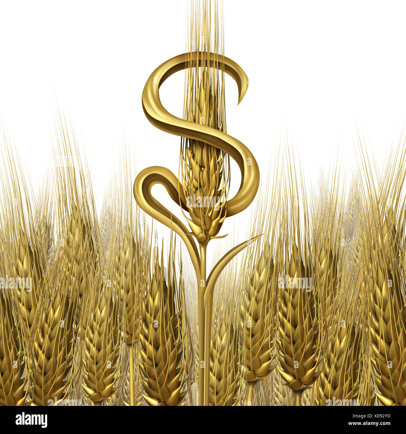 Agricoltura azienda agricola come grano maturo conformata come un dollaro valuta come un agricolo raccolto in contanti e industria agricola simbolo. Foto Stock