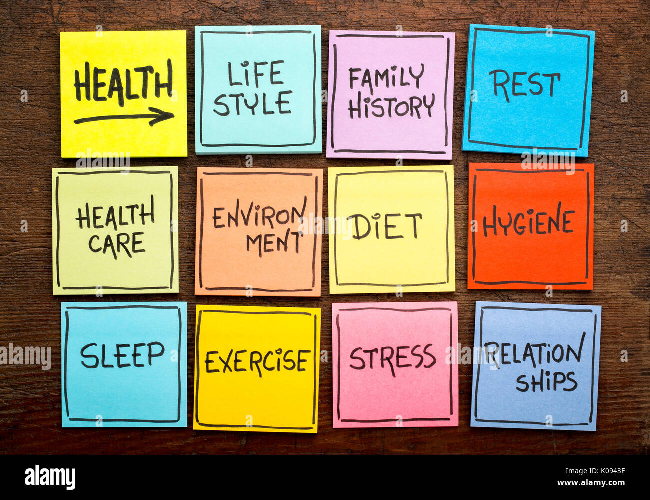Concetto di salute - parola nuvola di fattori (dieta, stile di vita, healthcare, storia familiare, ambiente, esercizio, stress, relazioni, stop Foto Stock