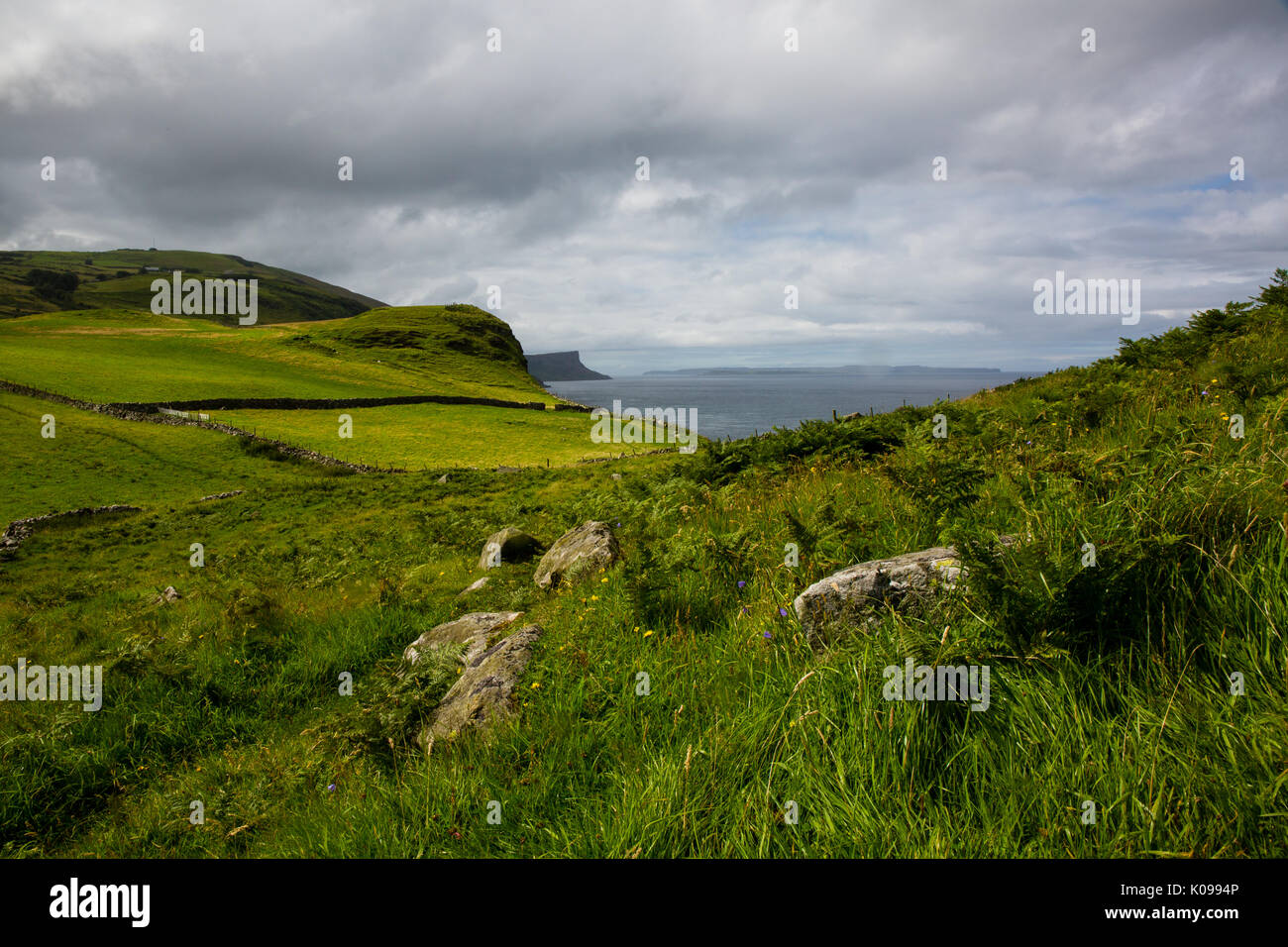 Nord costa di Antrim in Irlanda del Nord. Foto Stock
