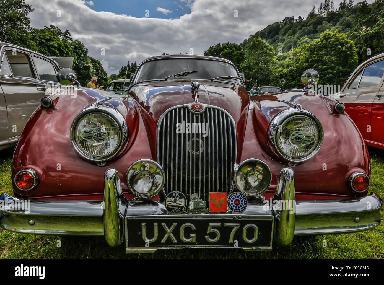 Il Galles Agosto 2017. Il nord del Galles car club car show all'esterno. Automobili classiche da Europa, America e in Gran Bretagna. Auto HDR catturato con dettagli nitidi. Foto Stock