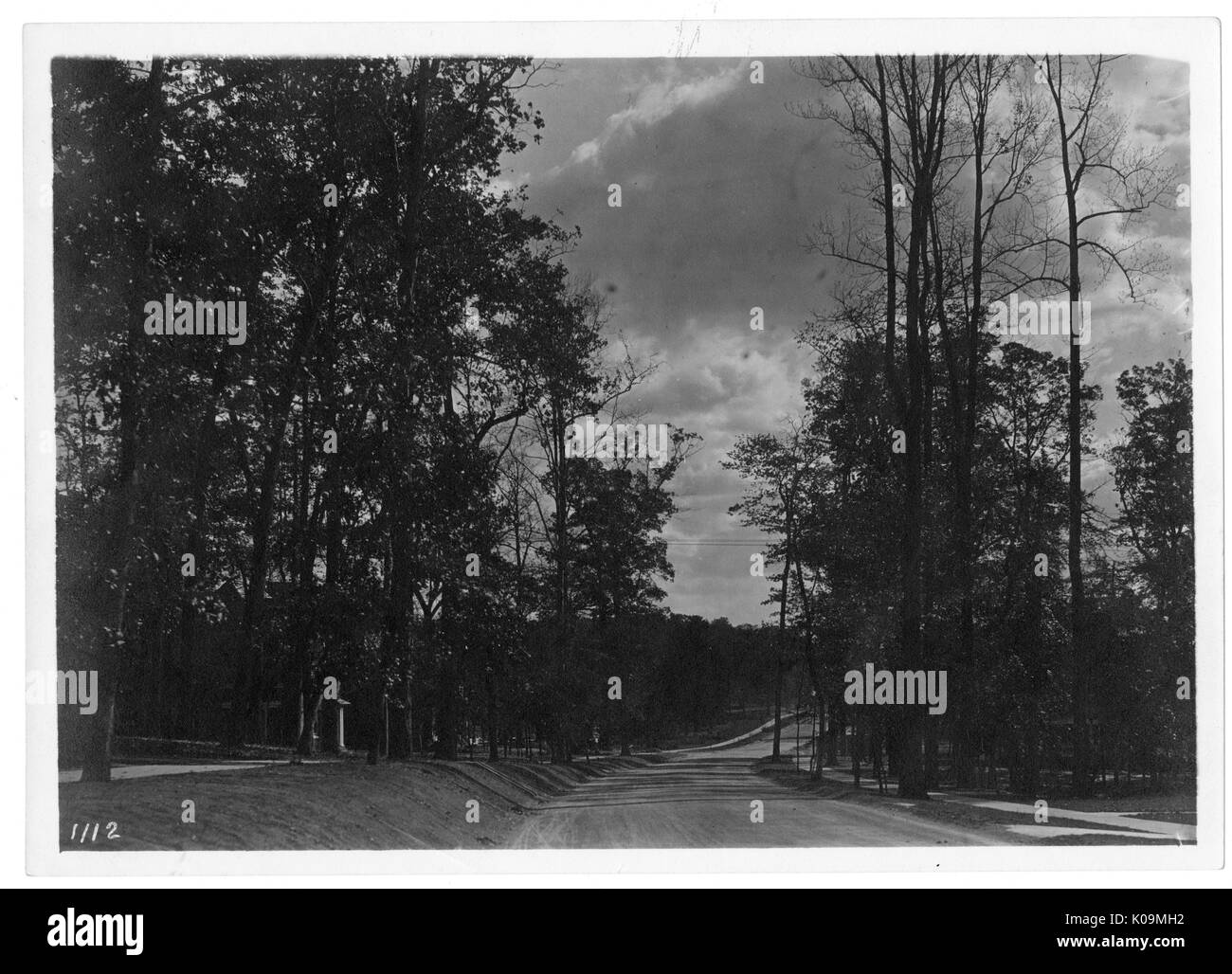 Paesaggio girato di una strada fiancheggiata da alberi di alto fusto con foglie, molte nuvole nel cielo, Roland parco/Guilford, Baltimore, Maryland, 1910. Questa immagine viene da una serie di documentare la costruzione e la vendita di case nel parco di Roland/Guilford quartiere di Baltimora, un tram sobborgo e una delle prime comunità prevista negli Stati Uniti. Il quartiere era segregato ed è considerato uno dei primi esempi di applicazione della segregazione razziale attraverso l'uso limitato di patti. Foto Stock