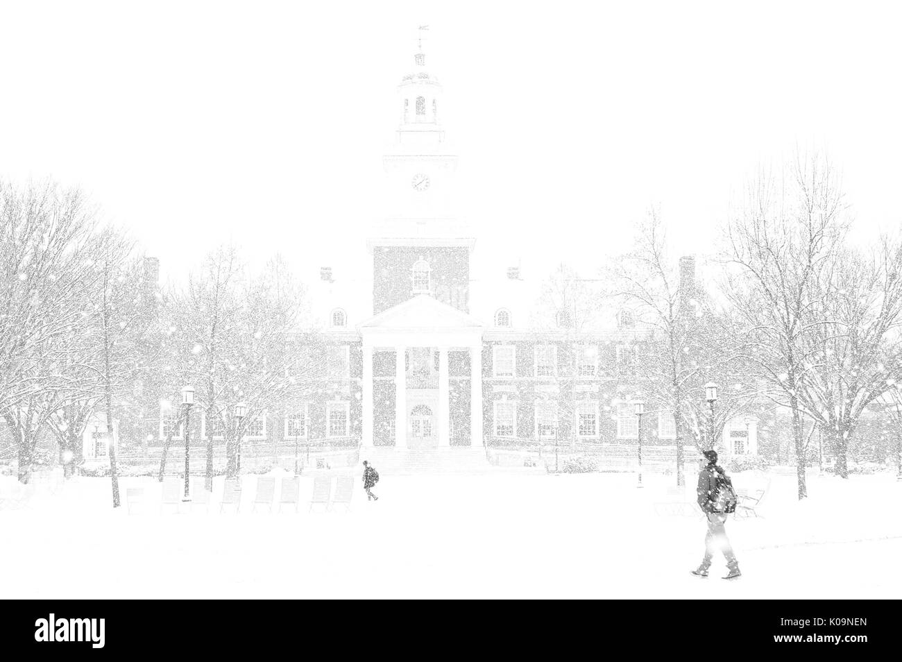 La neve è caduta sul Keyser del quadrangolo di fronte Gilman Hall presso la Johns Hopkins University come studenti a piedi tra le coperte di neve alberi attraverso il quad su Homewood campus a Baltimora, Maryland, 2015. La cortesia Eric Chen. Foto Stock
