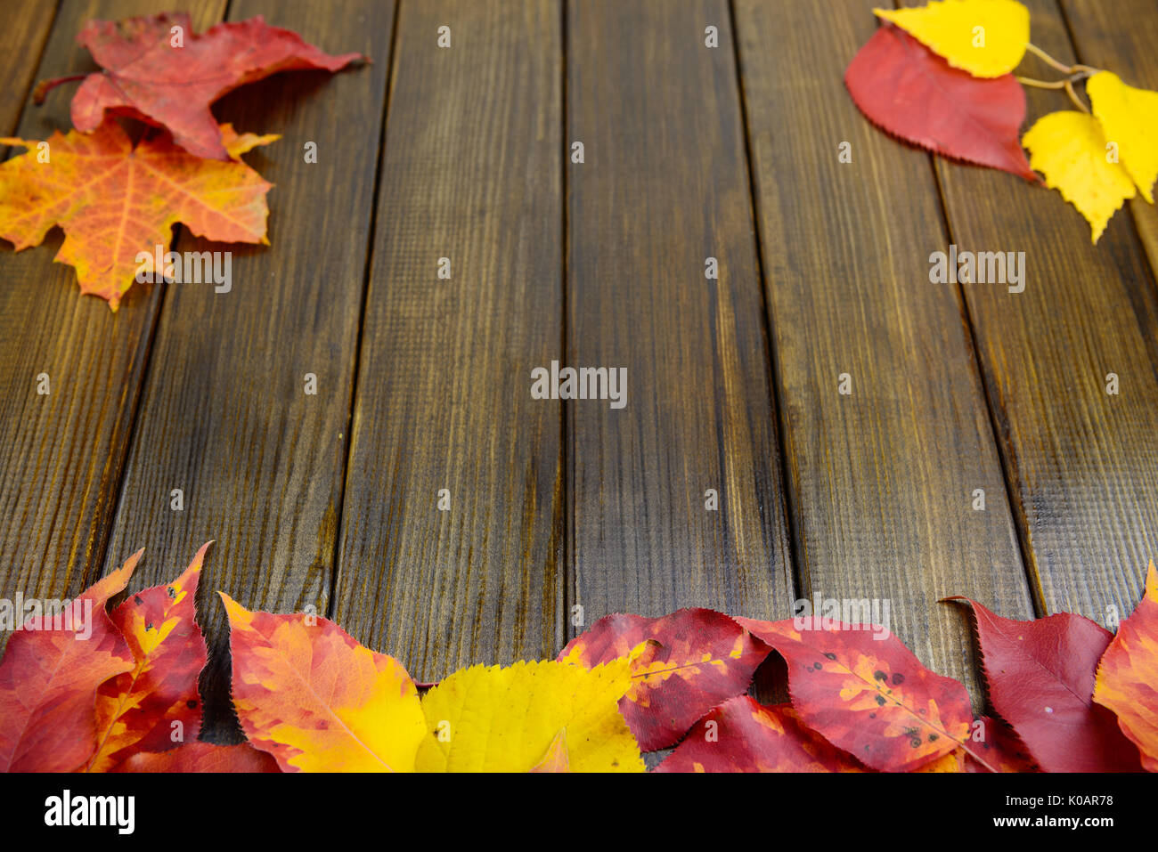 Caduta foglie rosso giallo verde sul tavolo di legno sfondo Foto Stock
