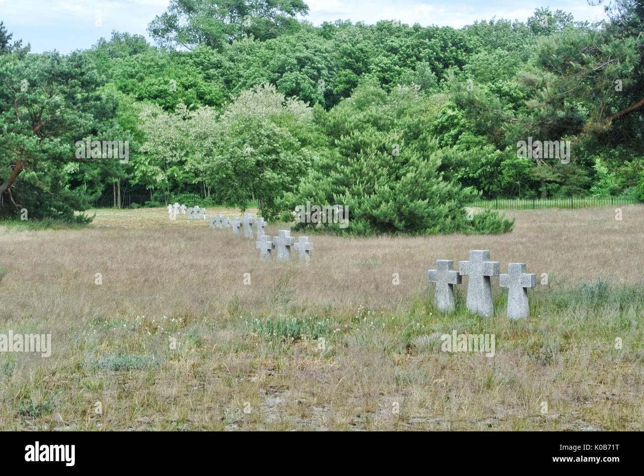 Una vista a vecchie croci in pietra e gli alberi in autunno asciutto erba al vecchio cimitero tedesco della Seconda Guerra Mondiale la città di Baltiysk, Kaliningrad Foto Stock