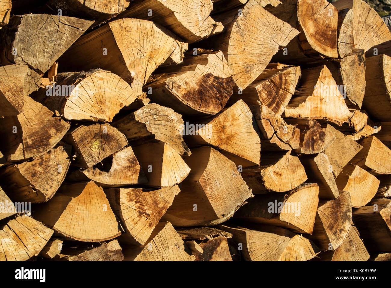 Naturale in legno rustico sfondo, tagliati a secco di legna da ardere i registri per l'inverno tariffa forno la sera la luce del sole. Foto Stock