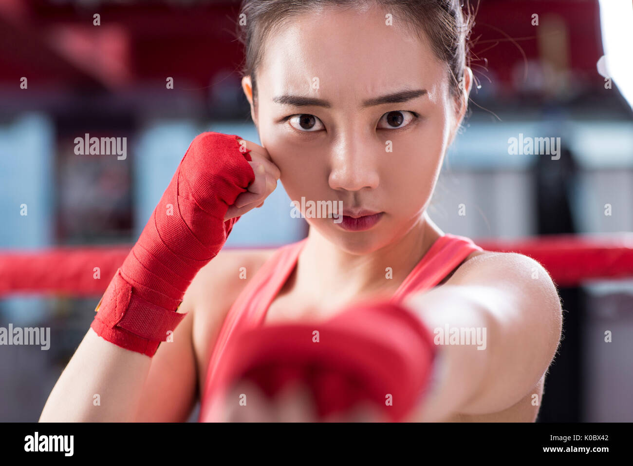 Ritratto di odf boxer femmina in posa lo sguardo sul lato anteriore Foto Stock