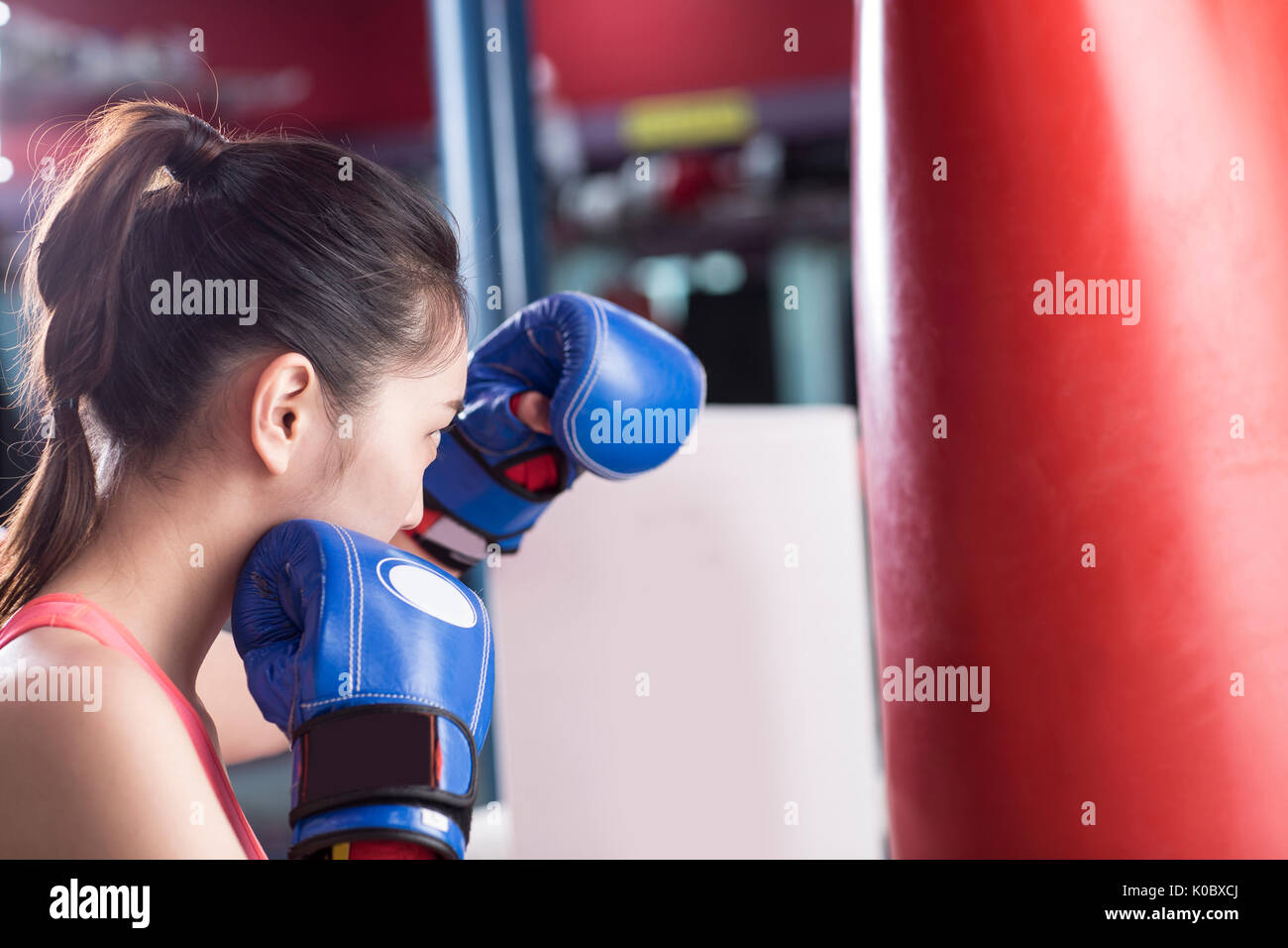 Vista laterale verticale del boxer femmina Foto Stock