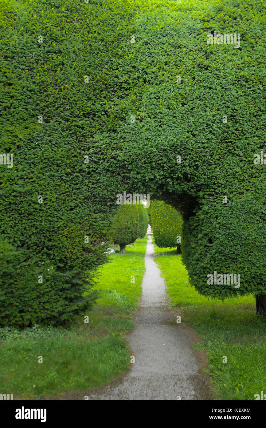 Un percorso attraverso la yew alberi a St.Mary's sagrato, Painswick,Inghilterra Foto Stock