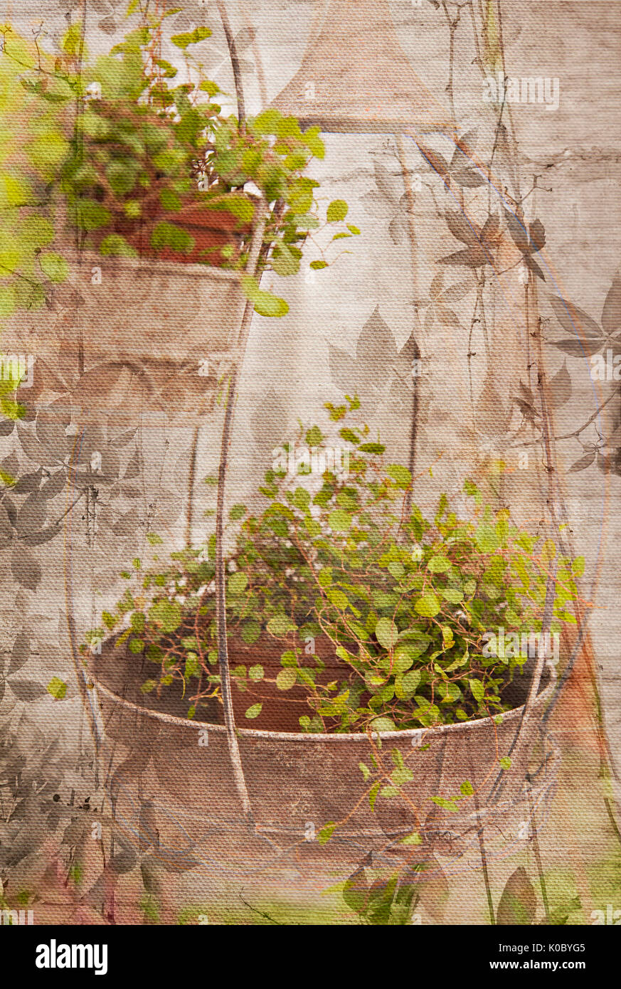 Immagine di un giardino appese cestello stampate su tela vintage. Foto Stock