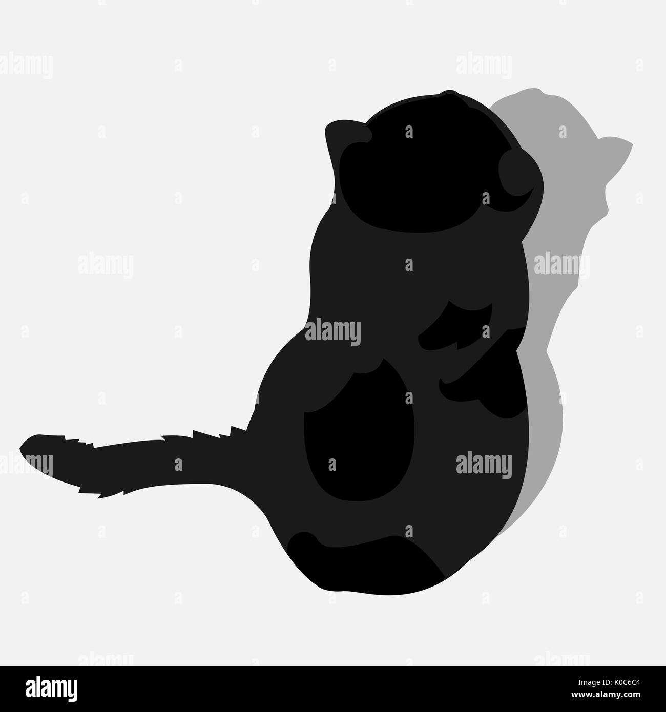 Gatto nero isolato top view.no sfondo.illustrazione vettoriale Illustrazione Vettoriale